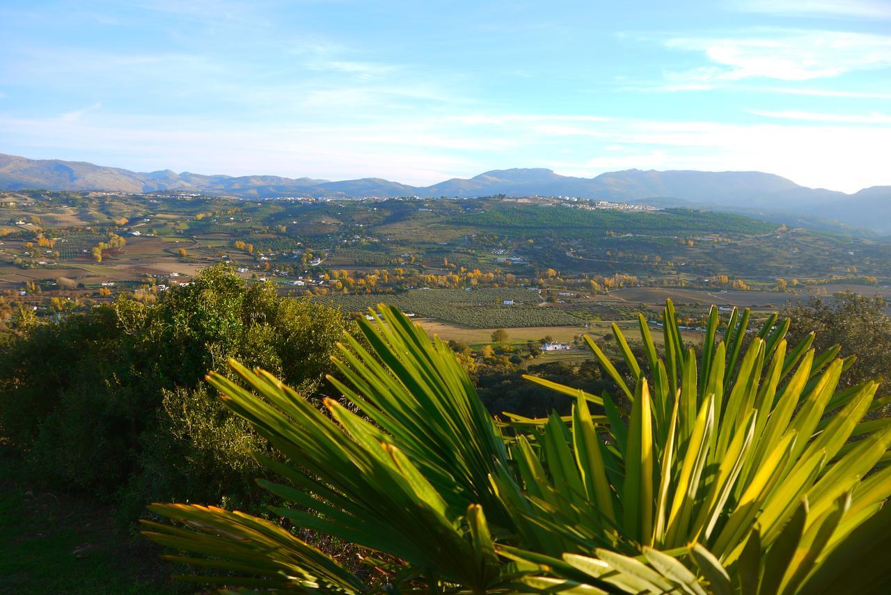 Bed & Breakfast El Montecillo *